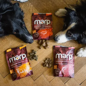 🐾 Rychlá pětka: Dopřej svému mazlíčkovi Snídani šampiónů!