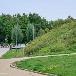 Pejskaři kritizují postřik, podle města je vše v pořádku