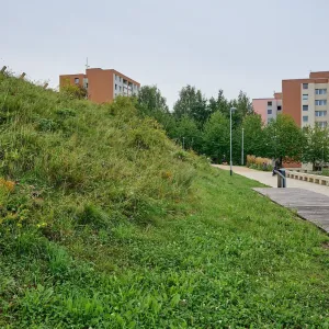 Pejskaři kritizují postřik, podle města je vše v pořádku