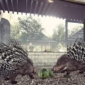 Zas o kus hezčí. Zlínská zoo chystá další expozici