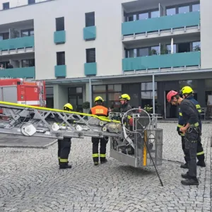 V Holešově zachránili malého čápa, který nemohl vyletět z hnízda