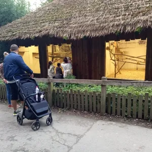 Další vandal ve zlínské zoo. Buddha je bez ruky