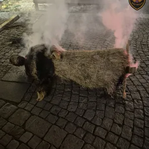 Nějaký Grinch? Na náměstí v Kroměříži hořely postavy betléma