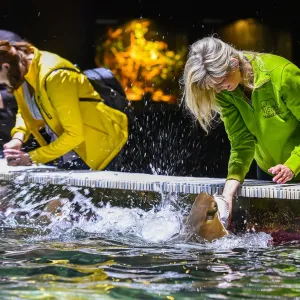 Nej rok v historii! Zlínská zoo válela v návštěvnosti i chovatelství