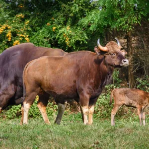 Nej rok v historii! Zlínská zoo válela v návštěvnosti i chovatelství
