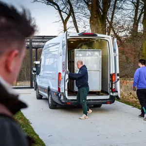 Do zlínské zoo přivezli první zabavené lvice