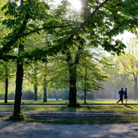 Ubylo vám ve městě zeleně? Díky UTB zjistíme, zda za to může změna klimatu