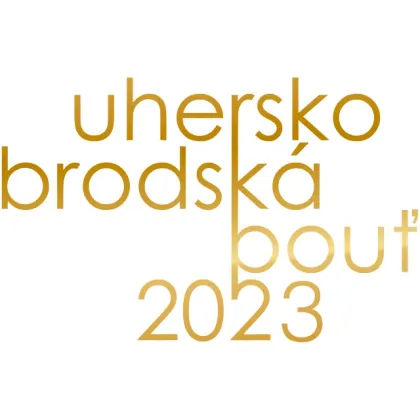 Uherskobrodská pouť s kapelou Rybičky48 a Calinem