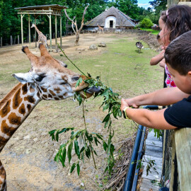 Provoz zlínské zoo stál loni 215 milionů