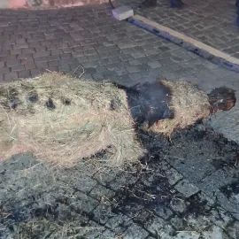 Za zapálení betléma v Kroměříži hrozí mladíkům pokuta 50 tisíc