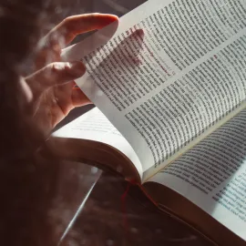 Co si přečíst? Inspirujte se nejpůjčovanějšími tituly ve Zlíně