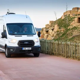 Do zlínské zoo přivezli první zabavené lvice